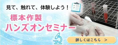 標本作製ハンズオンセミナー